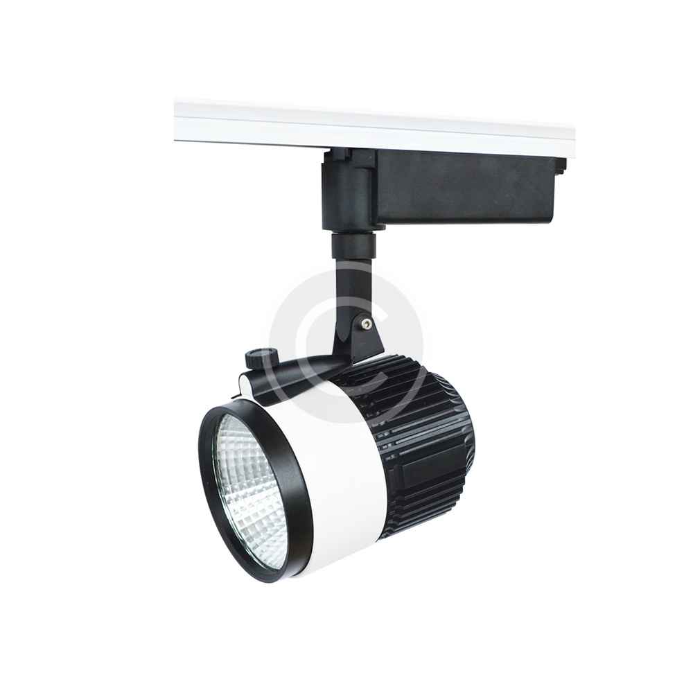 Drain Light